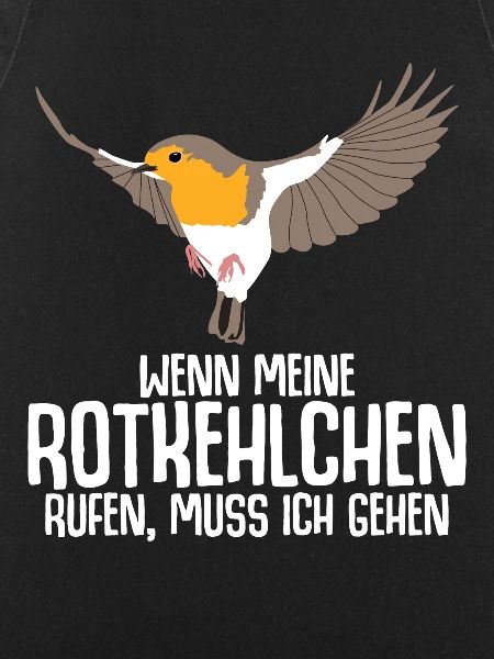 Rotkehlchen Vogel