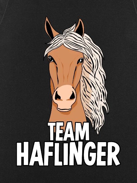 Haflinger Team Haflingers