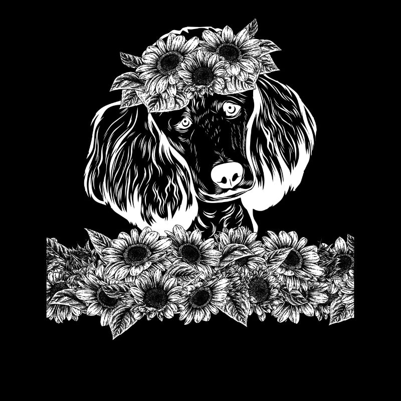 Caniche mignon Mama Tournesol Caniche
