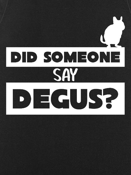 Degu Joke Degus