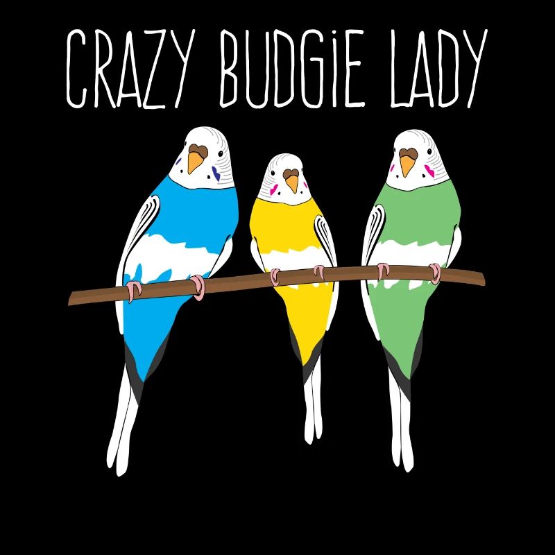 Perruche Budgerigar Lady Budgerigar