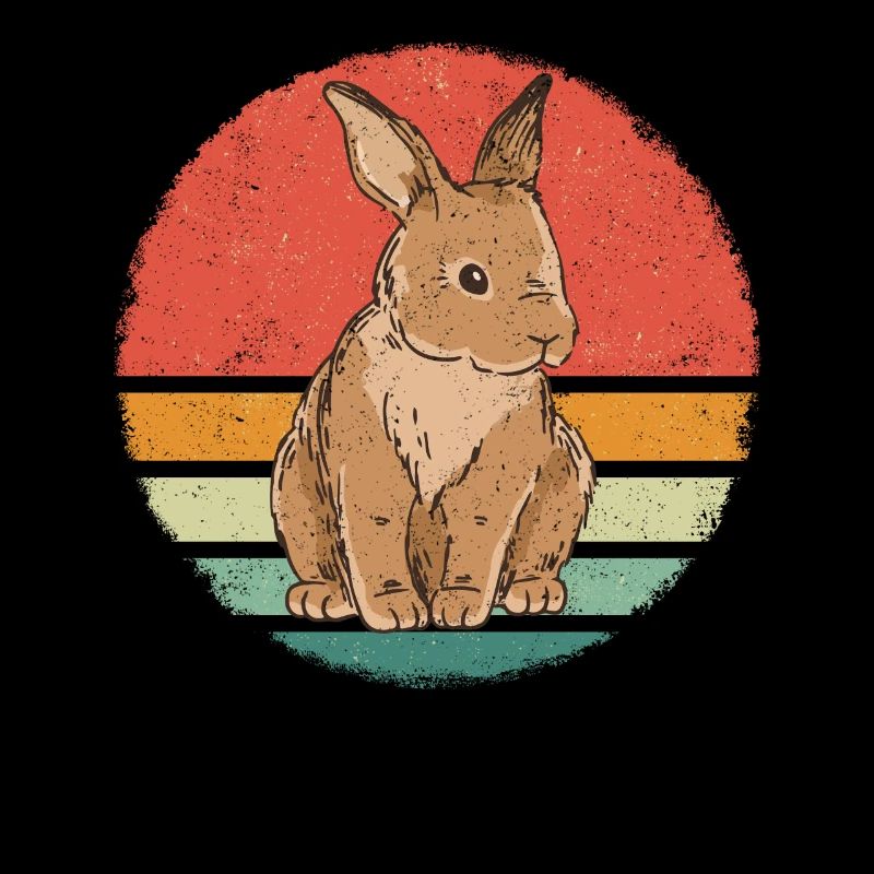 Rabbit Animal Pet Rabbit