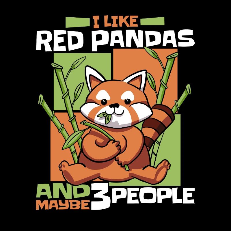 Western Little Panda Red Panda Himalayan Cat