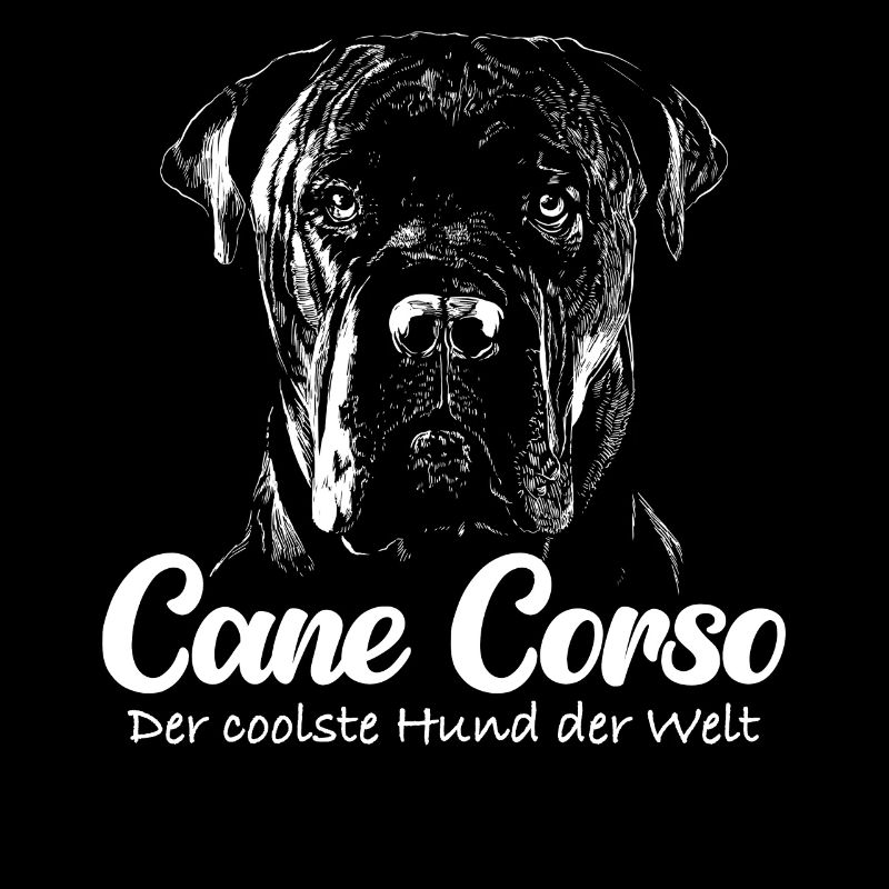 Cane Corso Italiano Hund