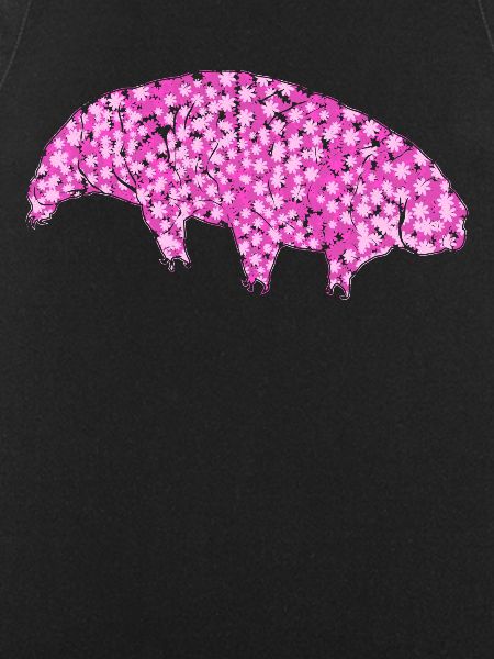 Tardigrade Tardigrade Water Bear