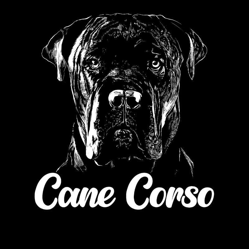 Cane Corso Hund