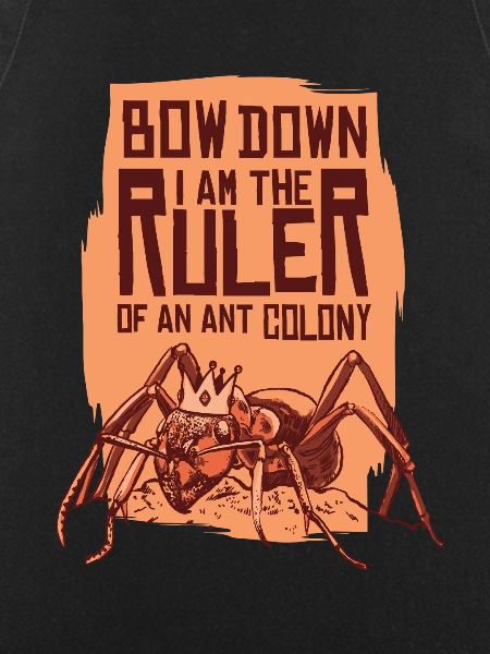 Ants insects ant