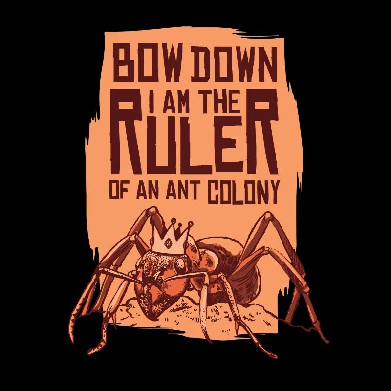 Ants insects ant
