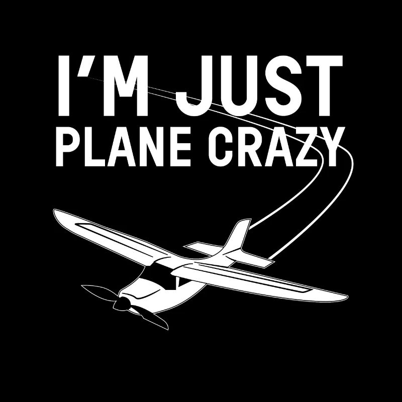 crazy plane
