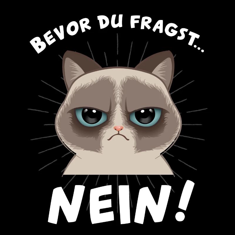 mürrische Katze