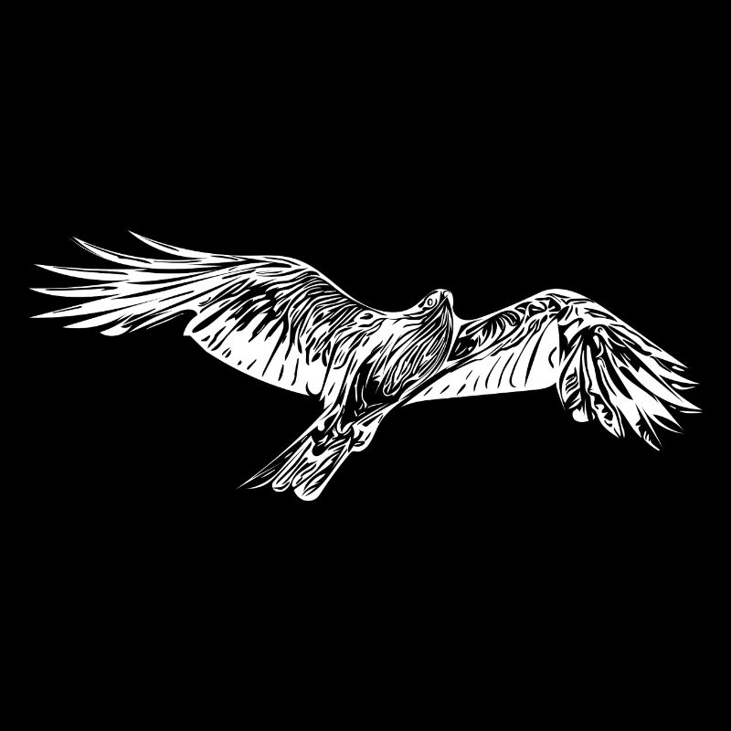 Elegant flying hawk