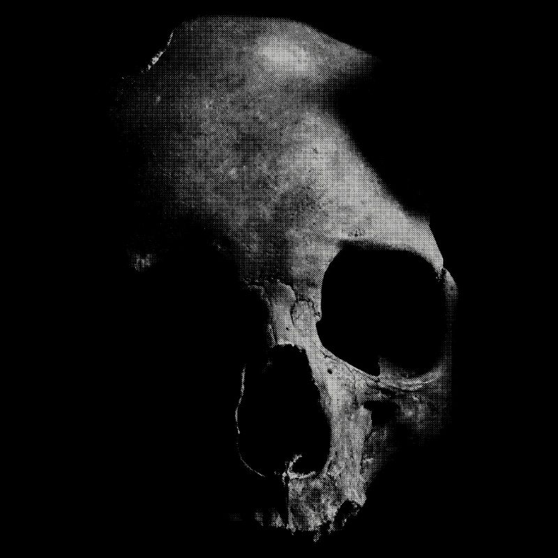 Old white skull