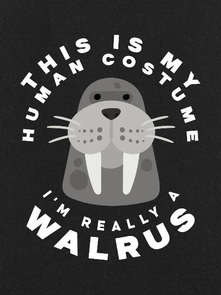 Funny Walrus Walrus Gift