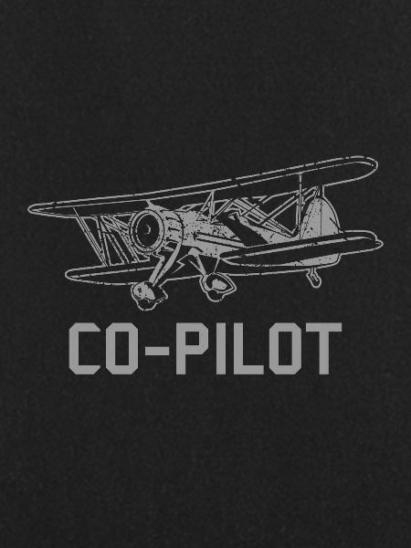 Co-pilot pilot flying