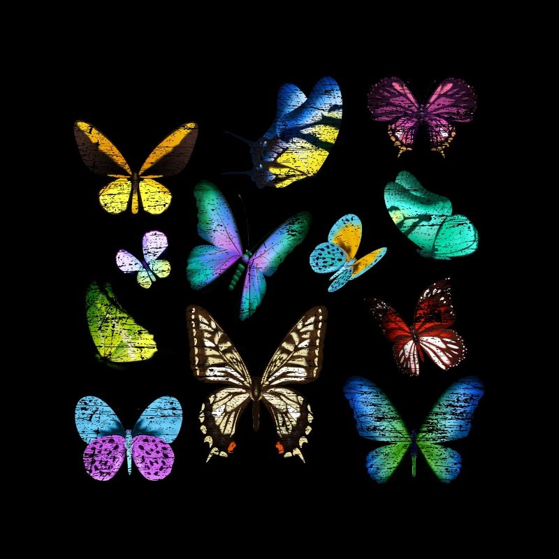 Papillon insecte cocon