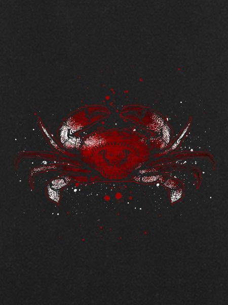Crab ocean sea