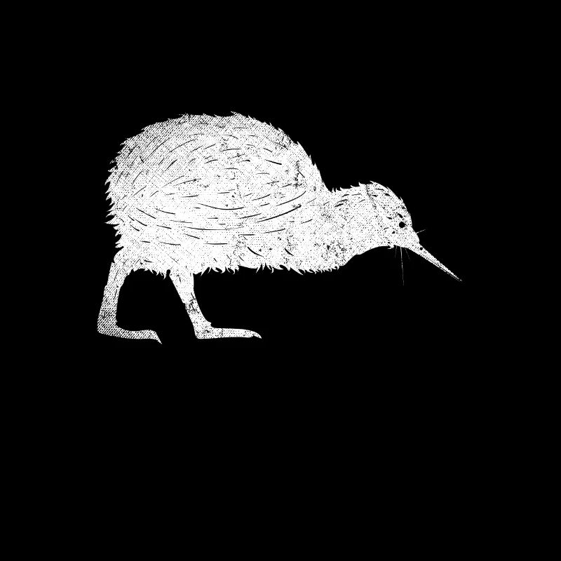 Neuseeland Backpacker