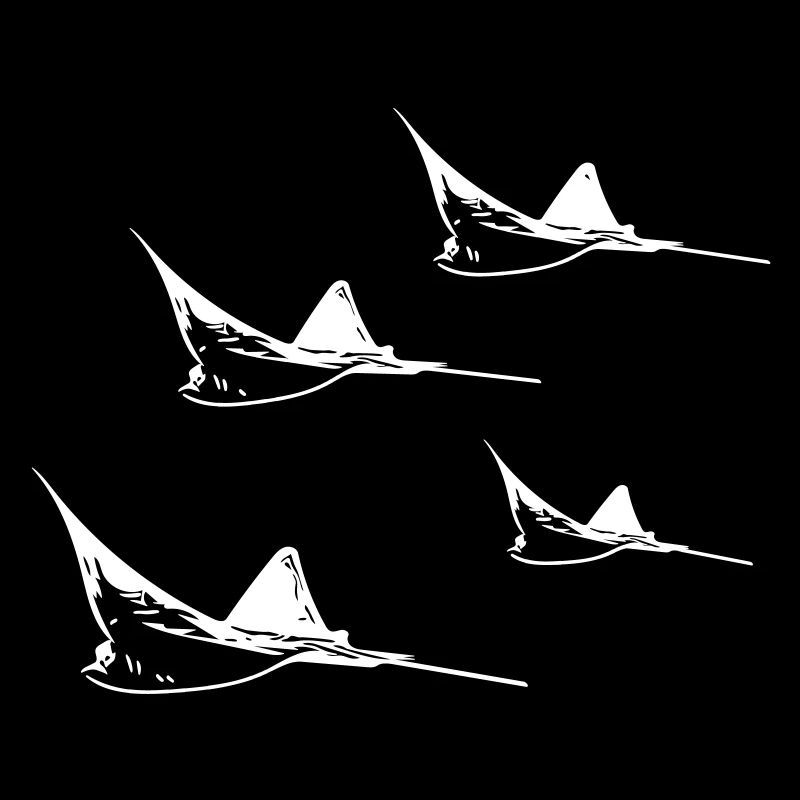 Formation de vol Eagle Ray