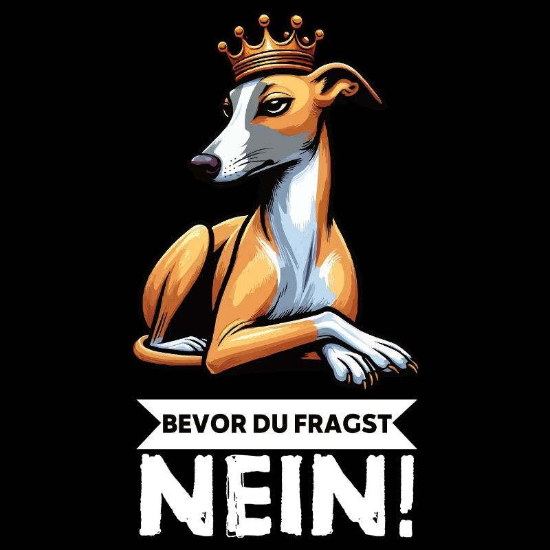 Avant de demander aux Whippets Greyhound Whippets