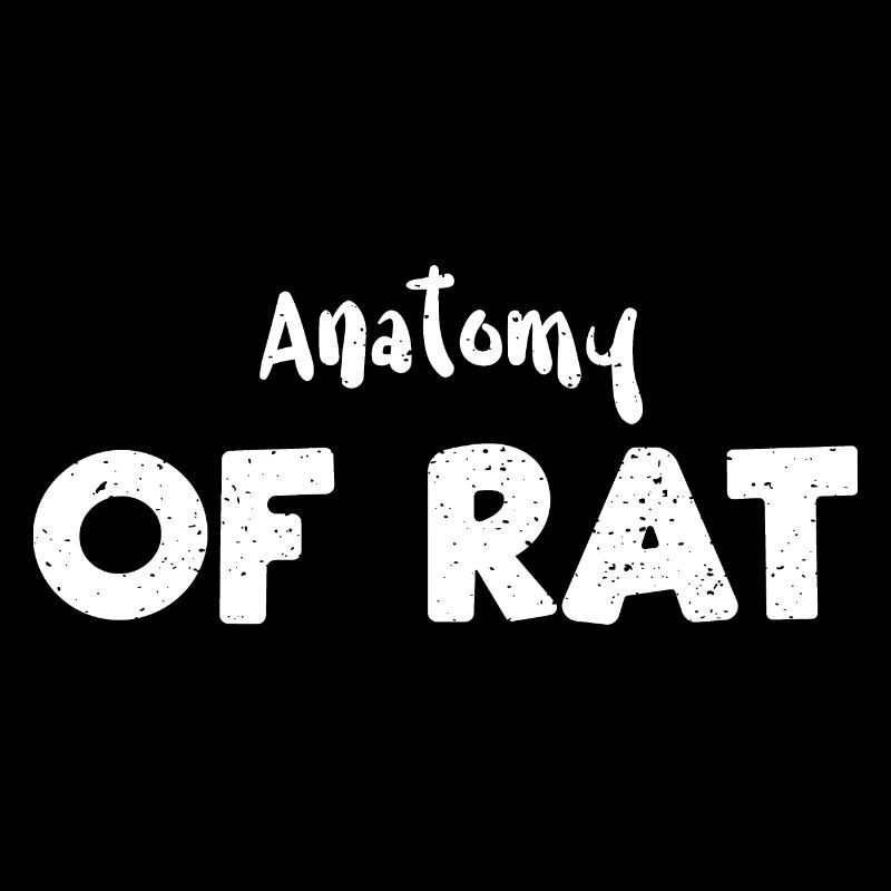 Anatomie du rat - Science