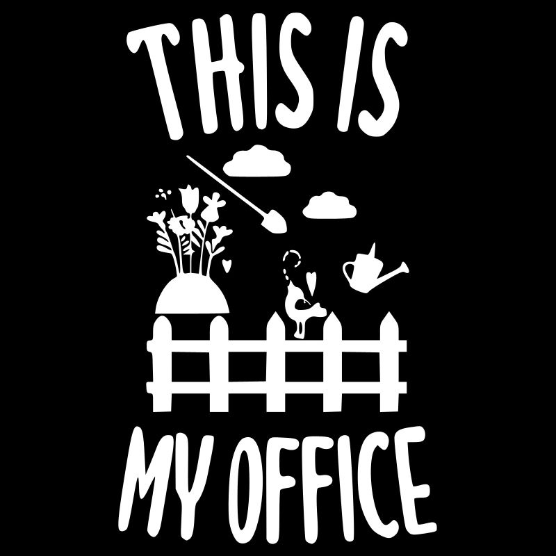 This is my office