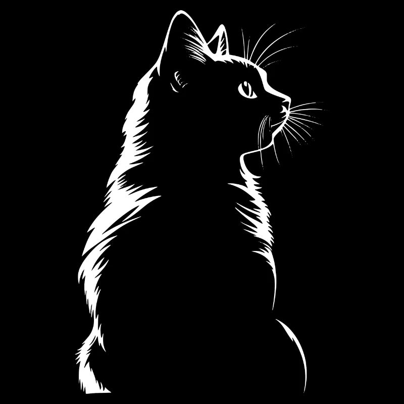 Chat, Motif De Chat
