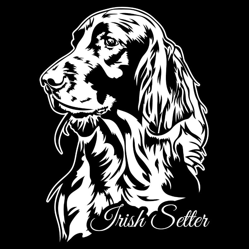 Irish Setter Jagdhund Jagdhunde Hunde Wilsigns