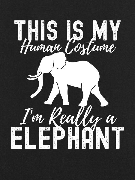 Eléphant