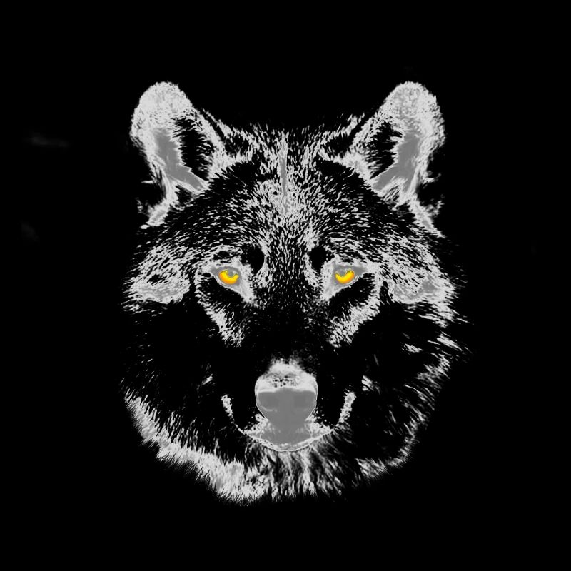 Der Wolf