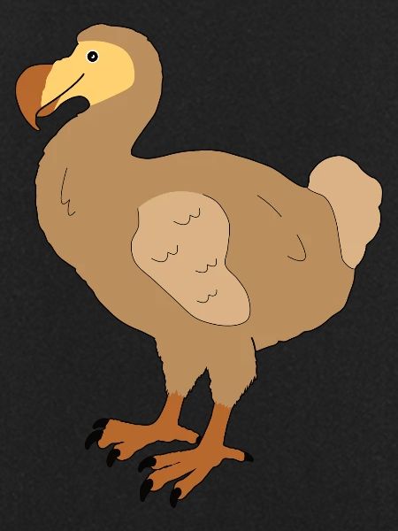 Dodo