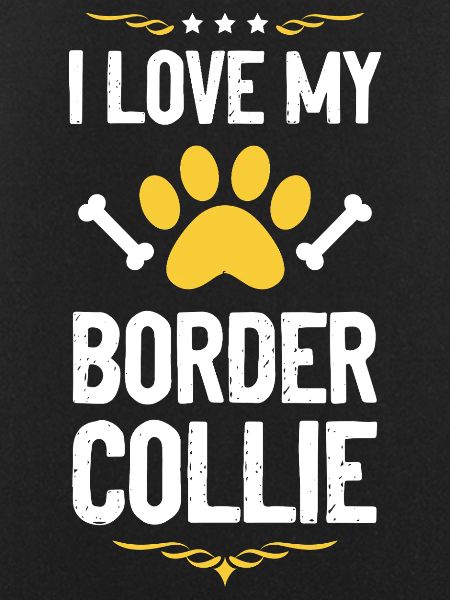 I love Border Collie
