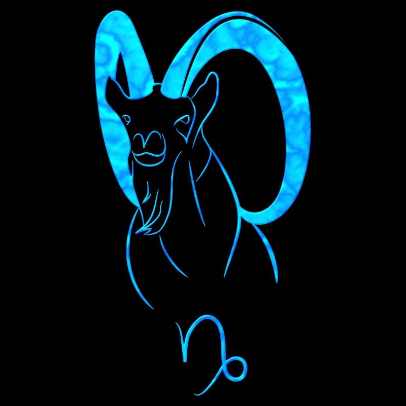 Ibex
