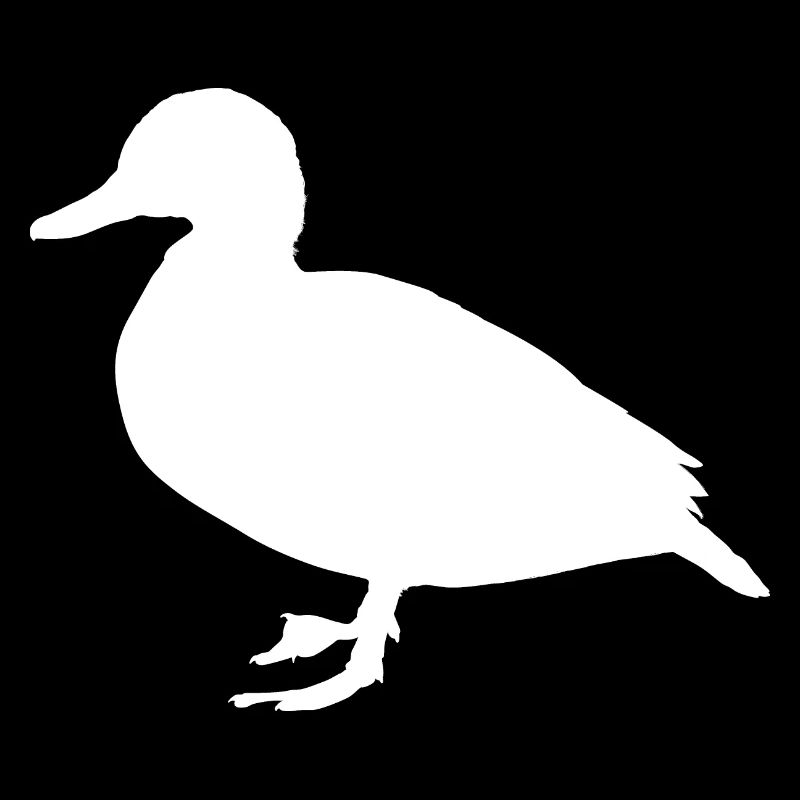 Ente in Weiß! Entchen Geschenk Vogel Idee