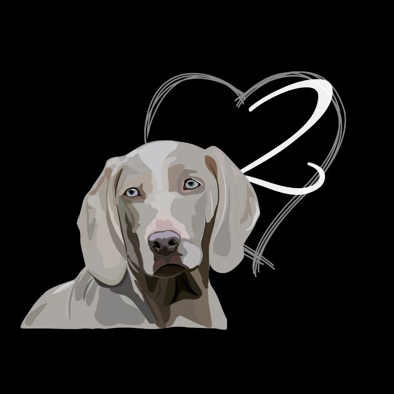 Weimaraner - 2ème anniversaire