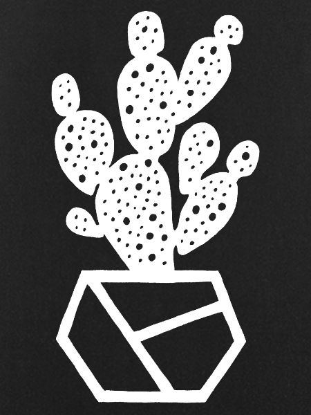 White Cactus