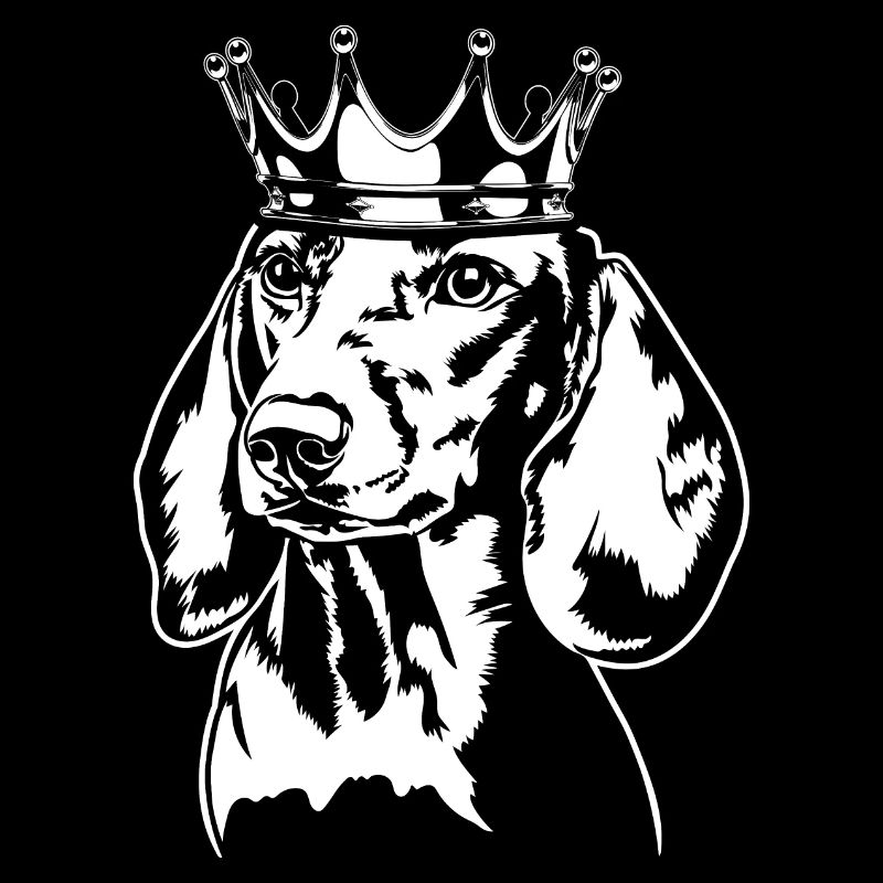 Teckel teckel Krone Chien Chiens Wilsigns