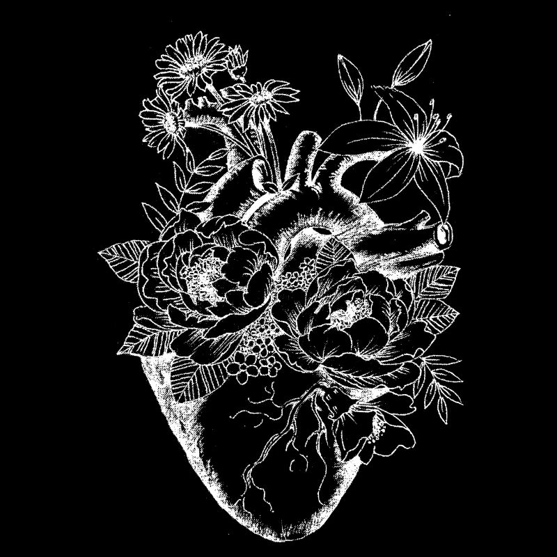 Coeur d'anatomie