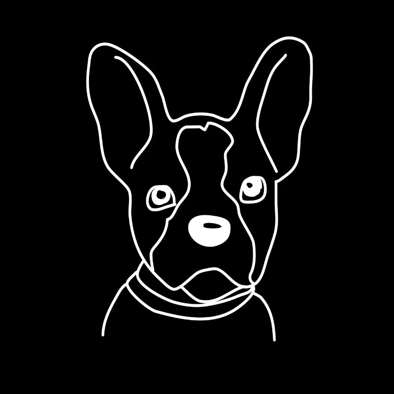 Boston Terrier