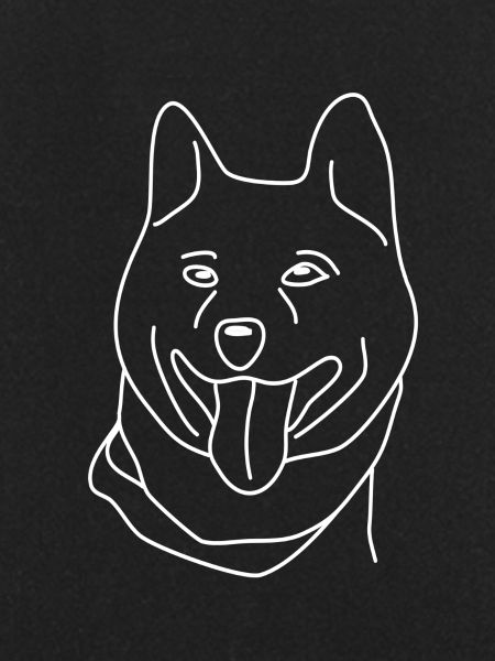 Shiba Inu