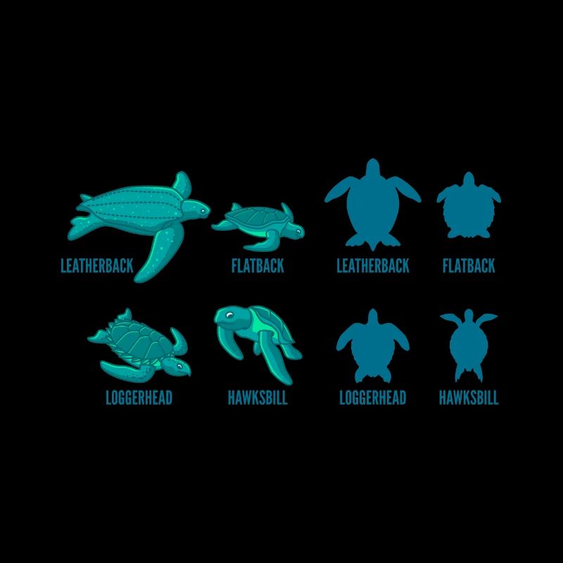 Turtles species gift for divers