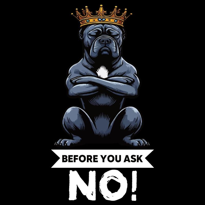 Before You Ask Cane Corso Cane Corsos Corso halter