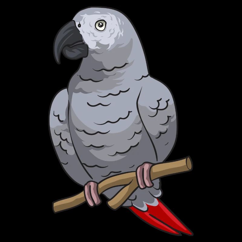 Graupapagei Perroquet gris d’Afrique Papagei