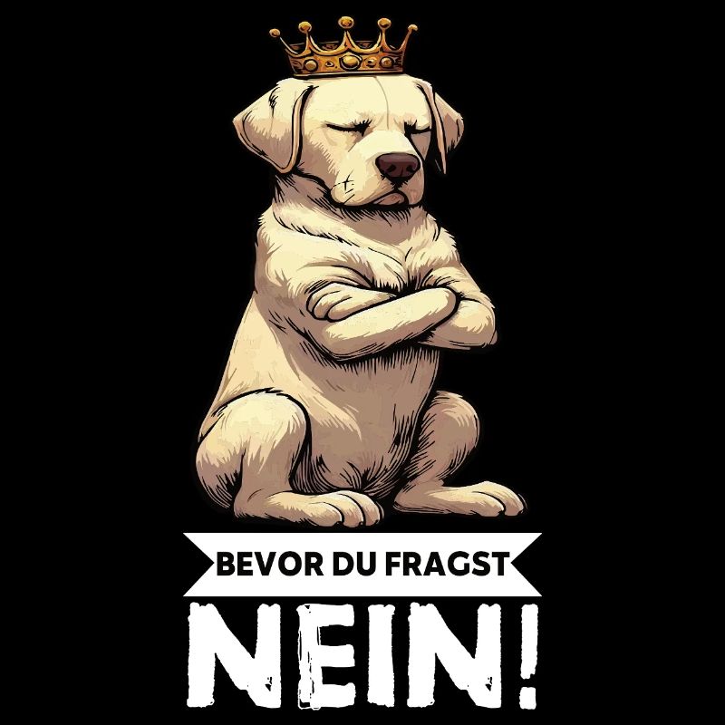Avant que vous ne demandiez : pas de propriétaire de Labrador Labrador