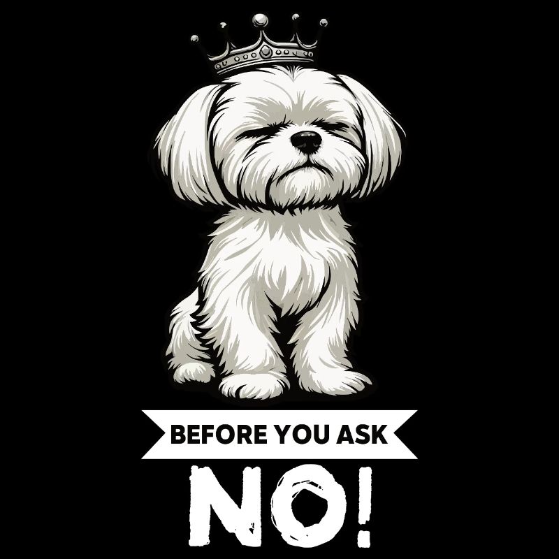 Before You Ask Malteser Maltese Owners Maltese