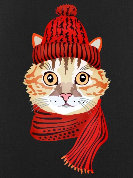 winter cat