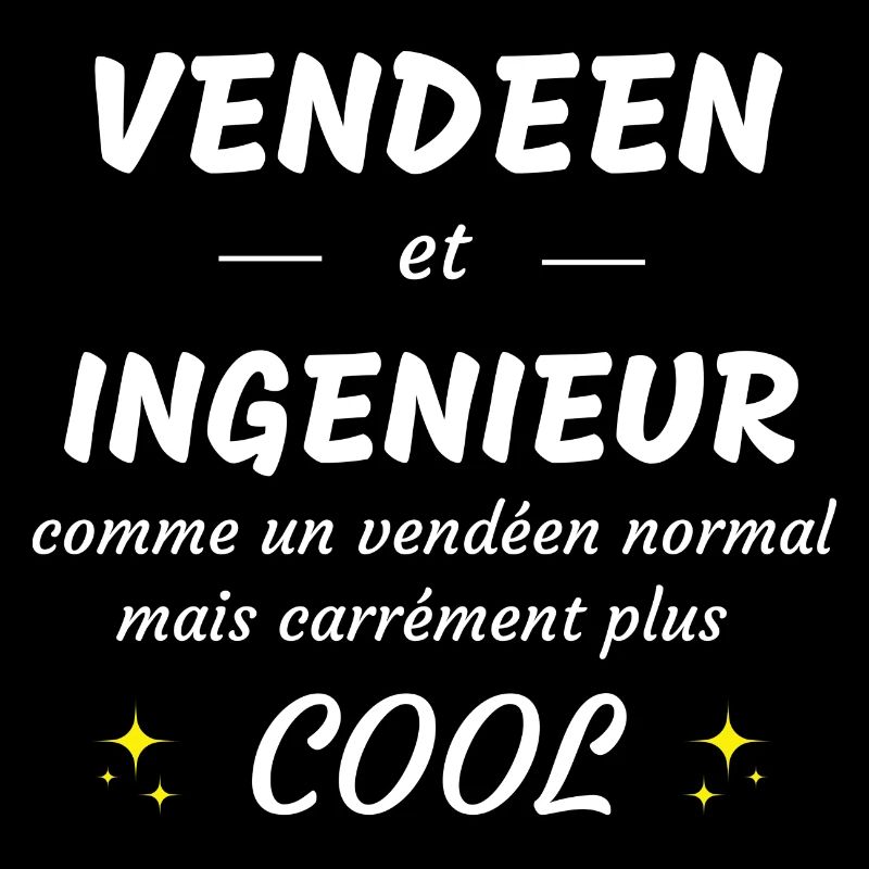 vendéen et ingenieur vendéen plus cool