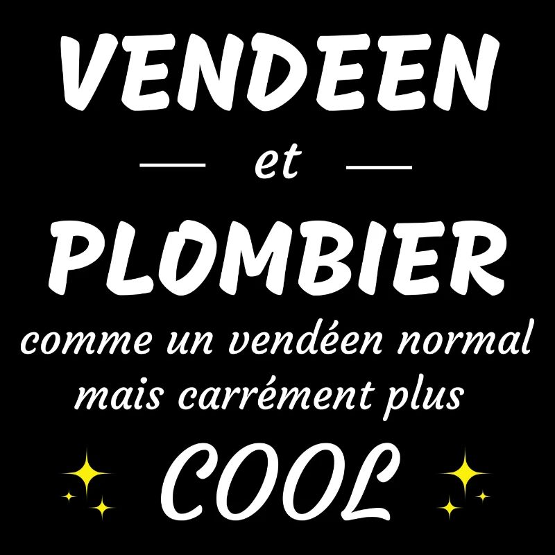 vendéen et plombier vendéen plus cool