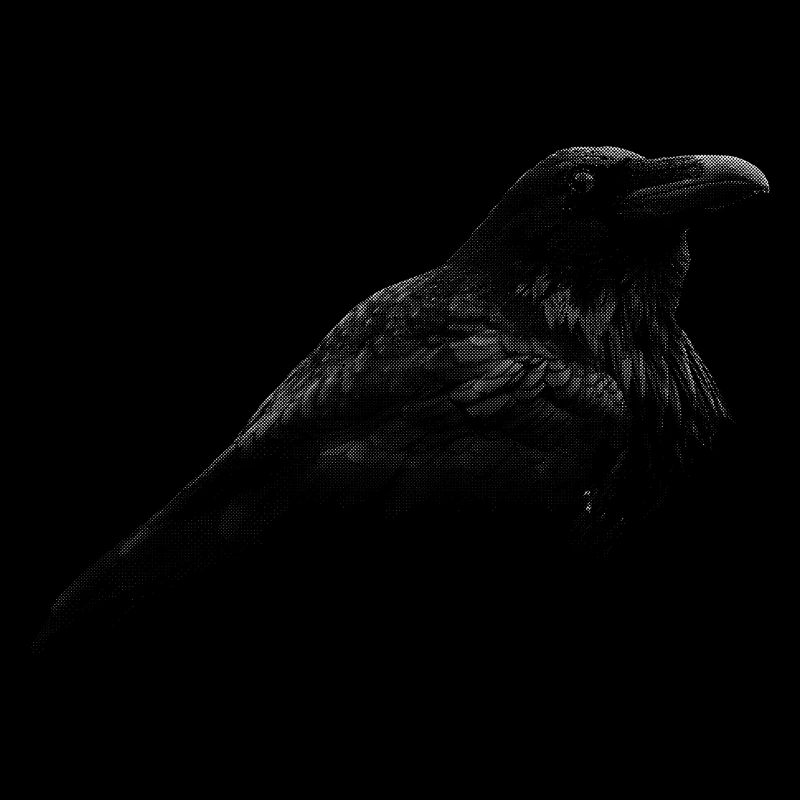 Corbeau