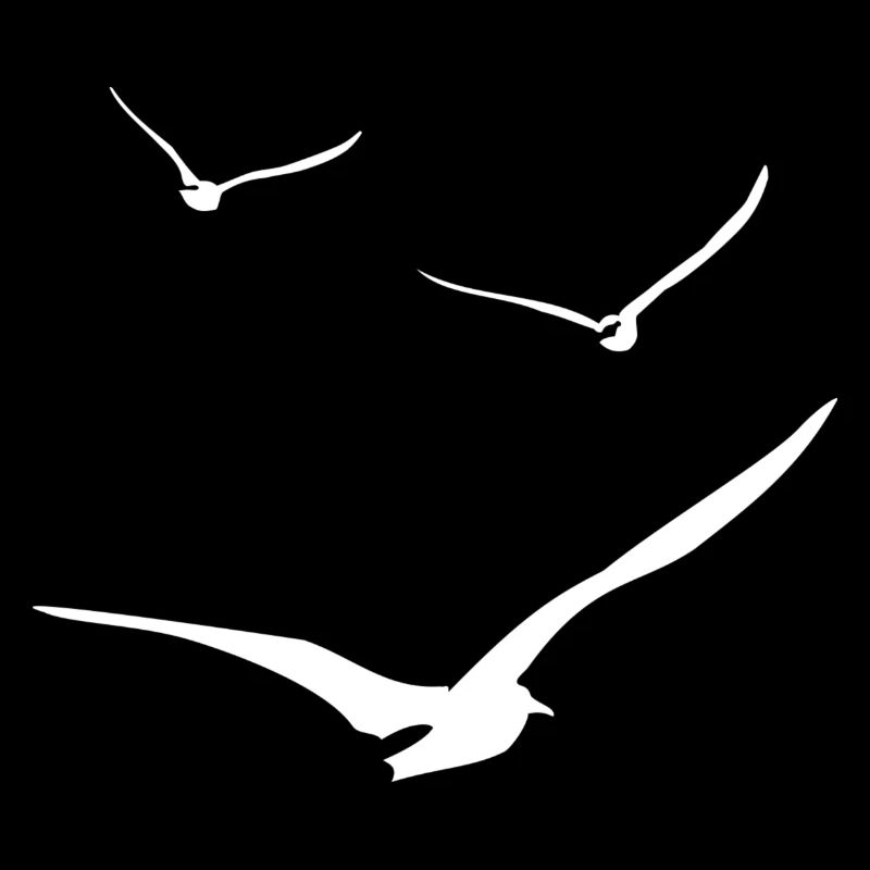 vol de mouettes