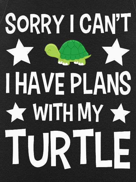 Turtles